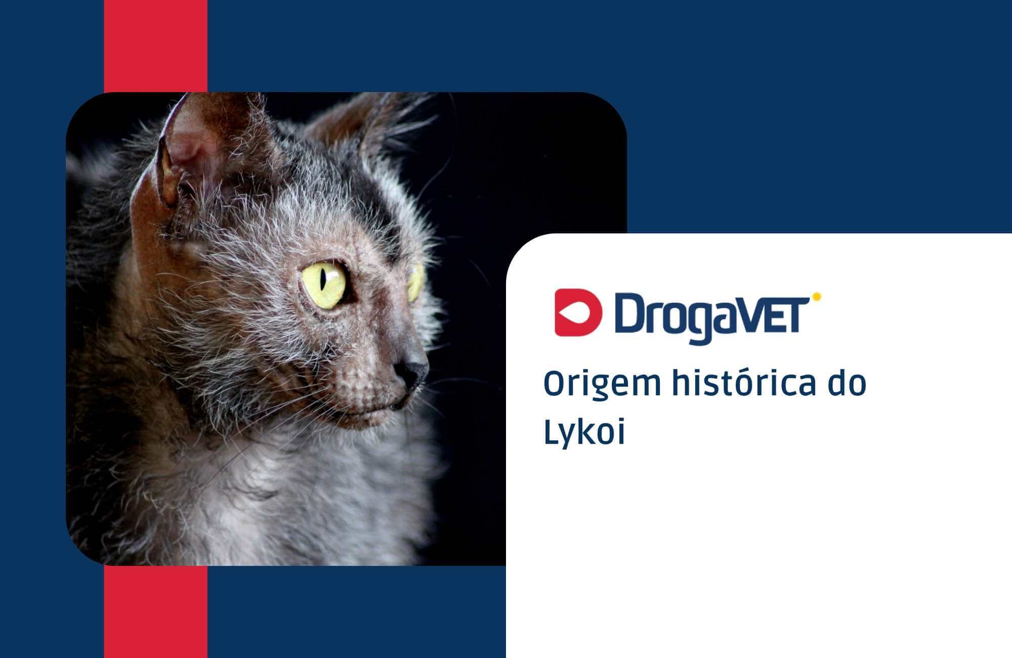 Origem histórica do Lykoi Origem histórica do Lykoi