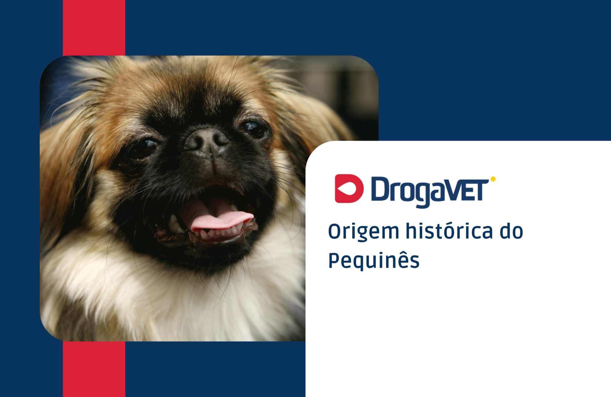 Origem histórica do Pequinês