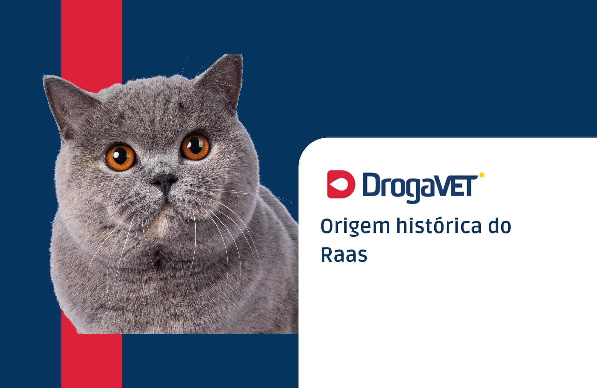 Origem histórica do Raas