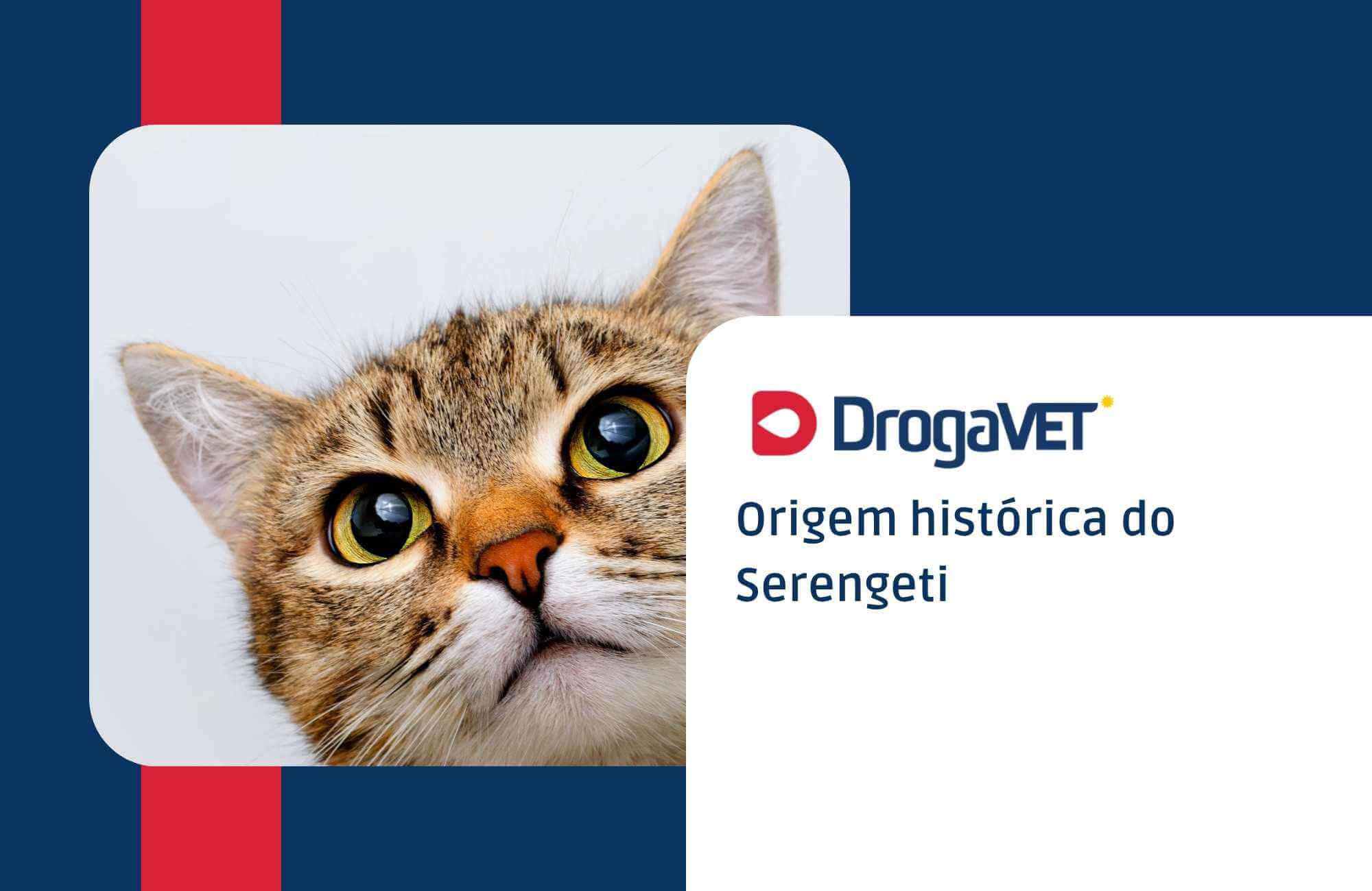 Origem histórica do Serengeti