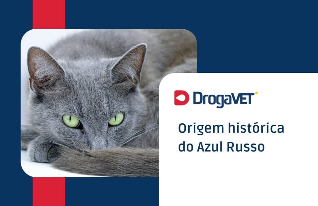 Origem histórica do Azul Russo