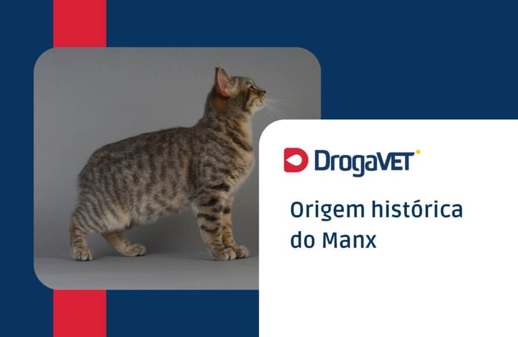 Origem histórica do Manx