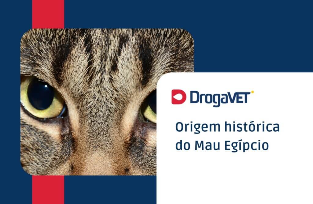Origem histórica do Mau Egípcio