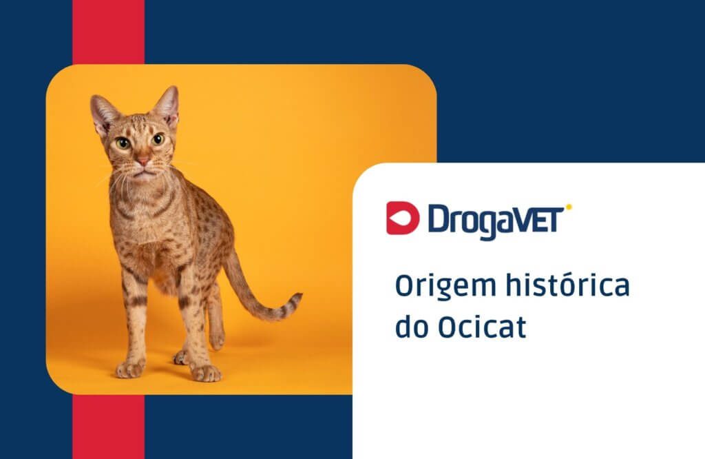 Origem histórica do Ocicat