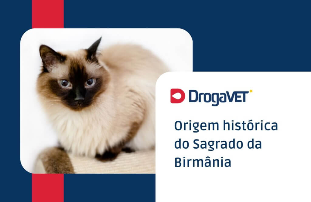 Origem histórica do Sagrado da Birmânia