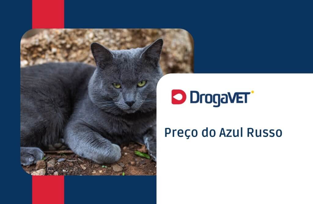 Preço do Azul Russo