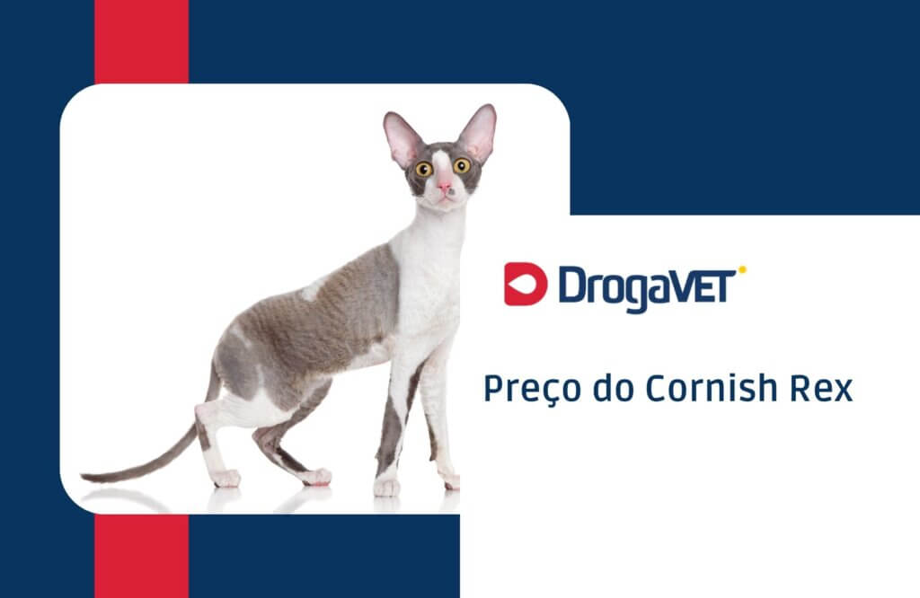 Preço do Cornish Rex
