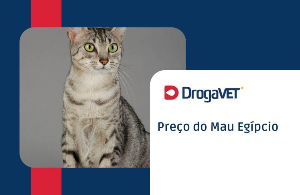 Preço do Mau Egípcio