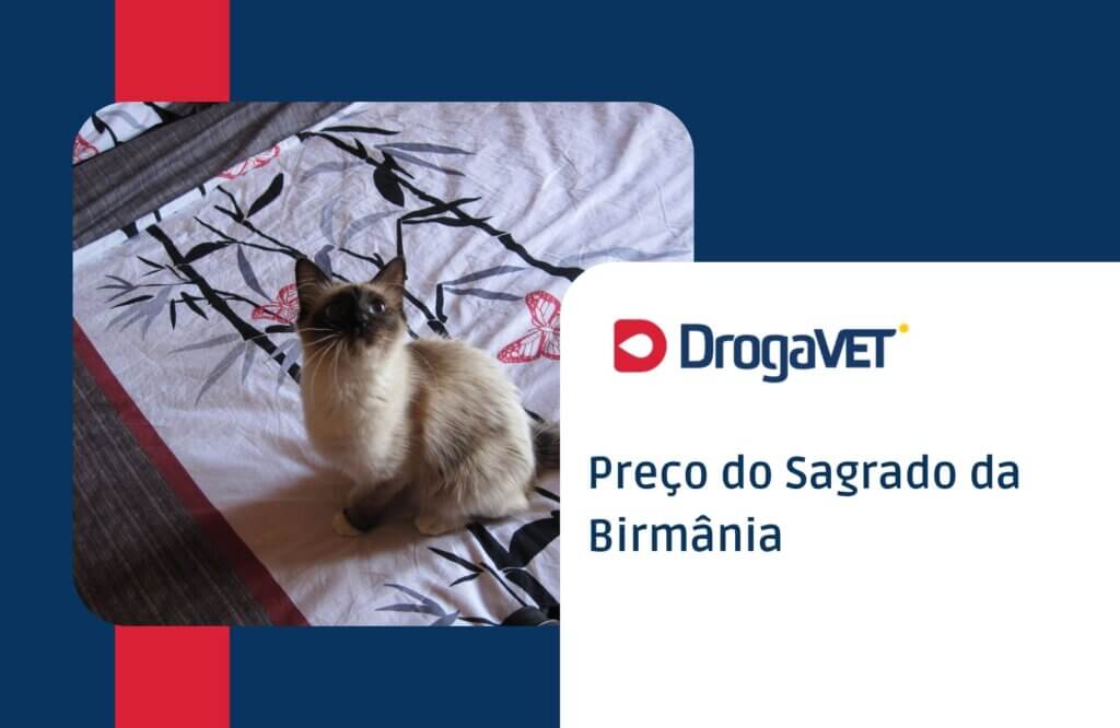 Preço do Sagrado da Birmânia