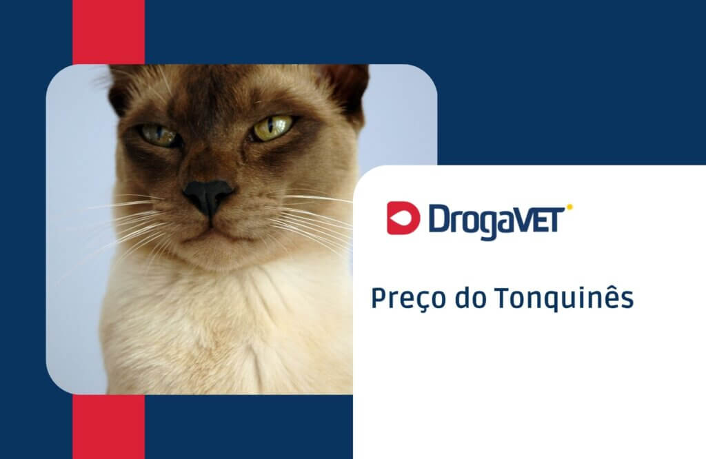 Preço do Tonquinês