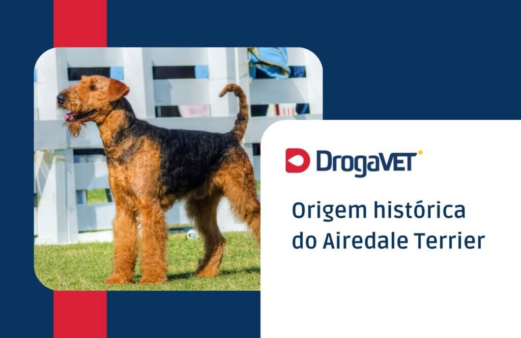 Origem histórica do Airedale Terrier