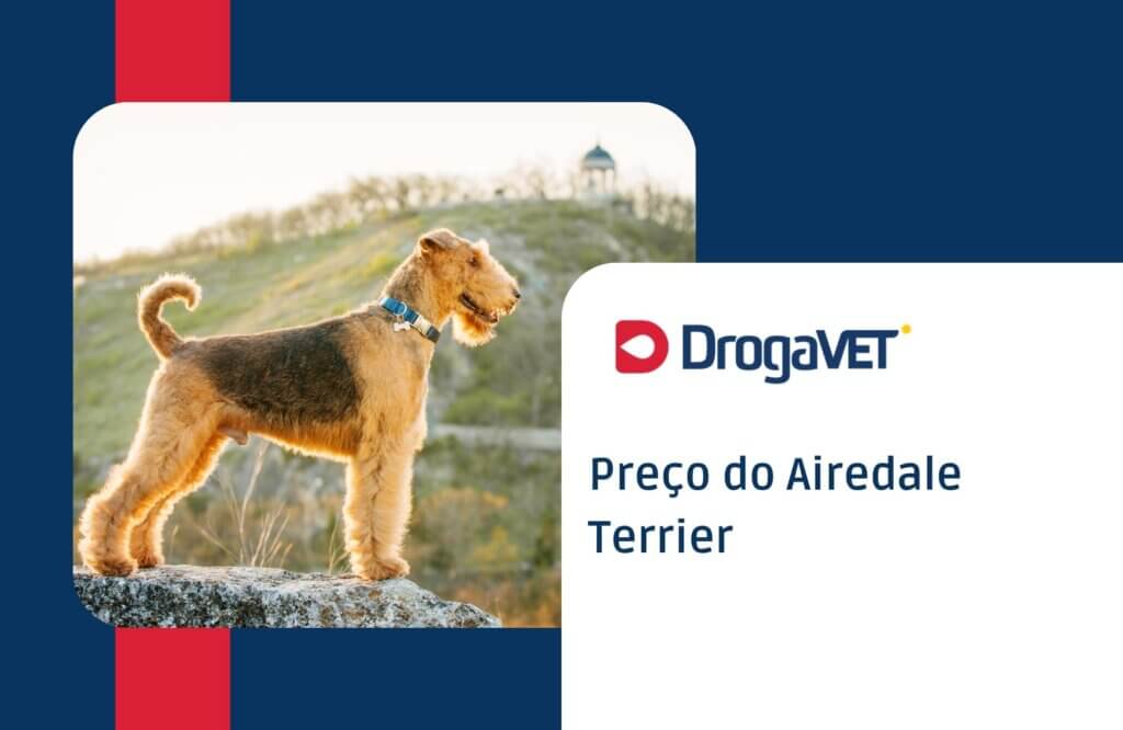 Preço do Airedale Terrier