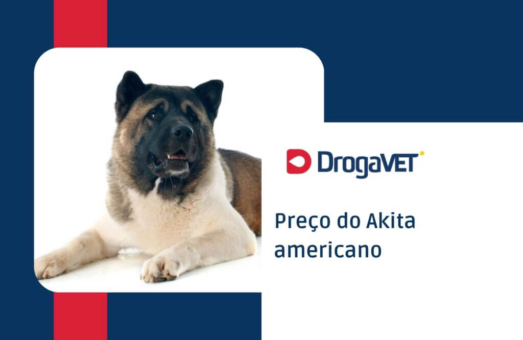 Preço do Akita americano