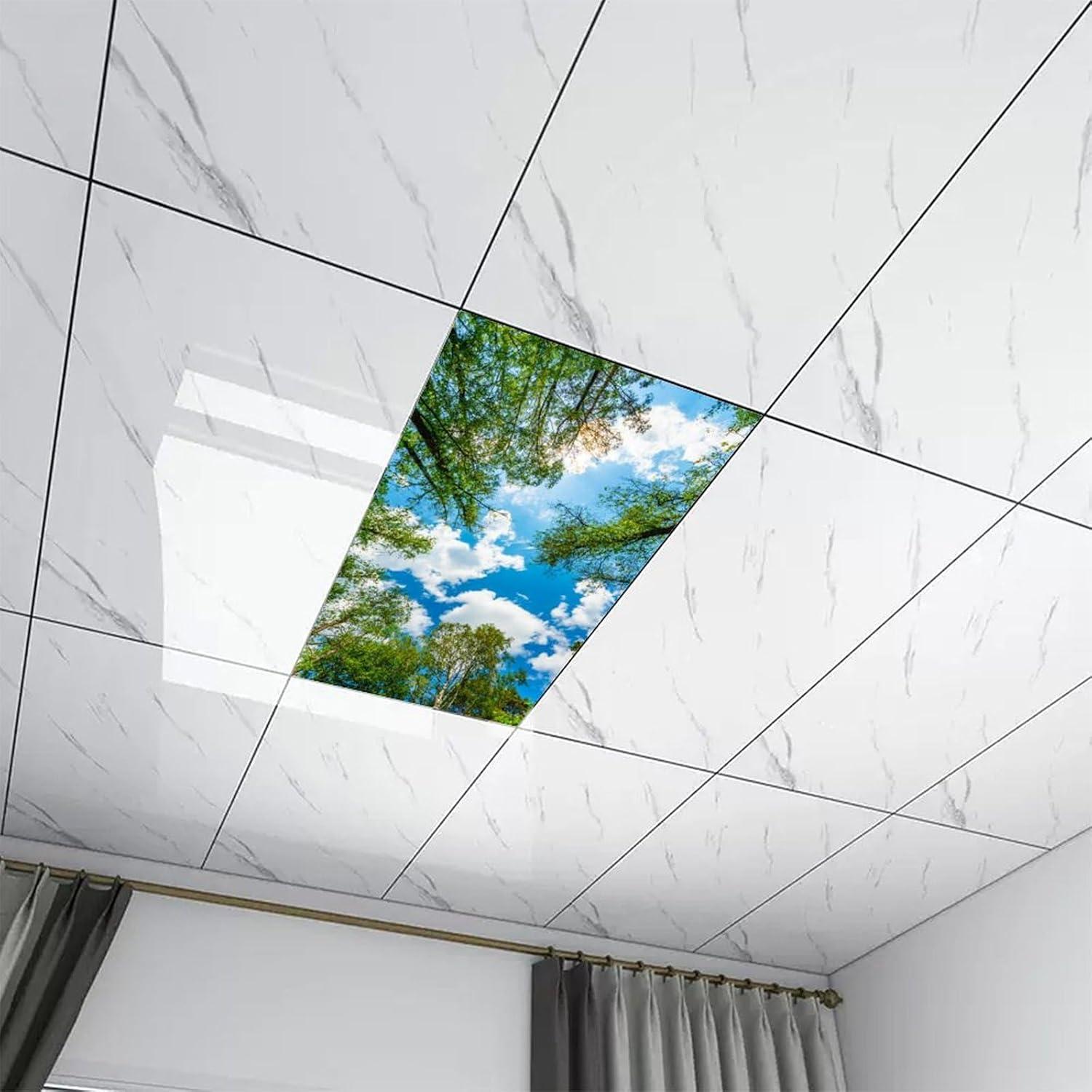 Filtros de Luz Fluorescente Magnéticos RoseFace 2 Piezas 121.9x61cm