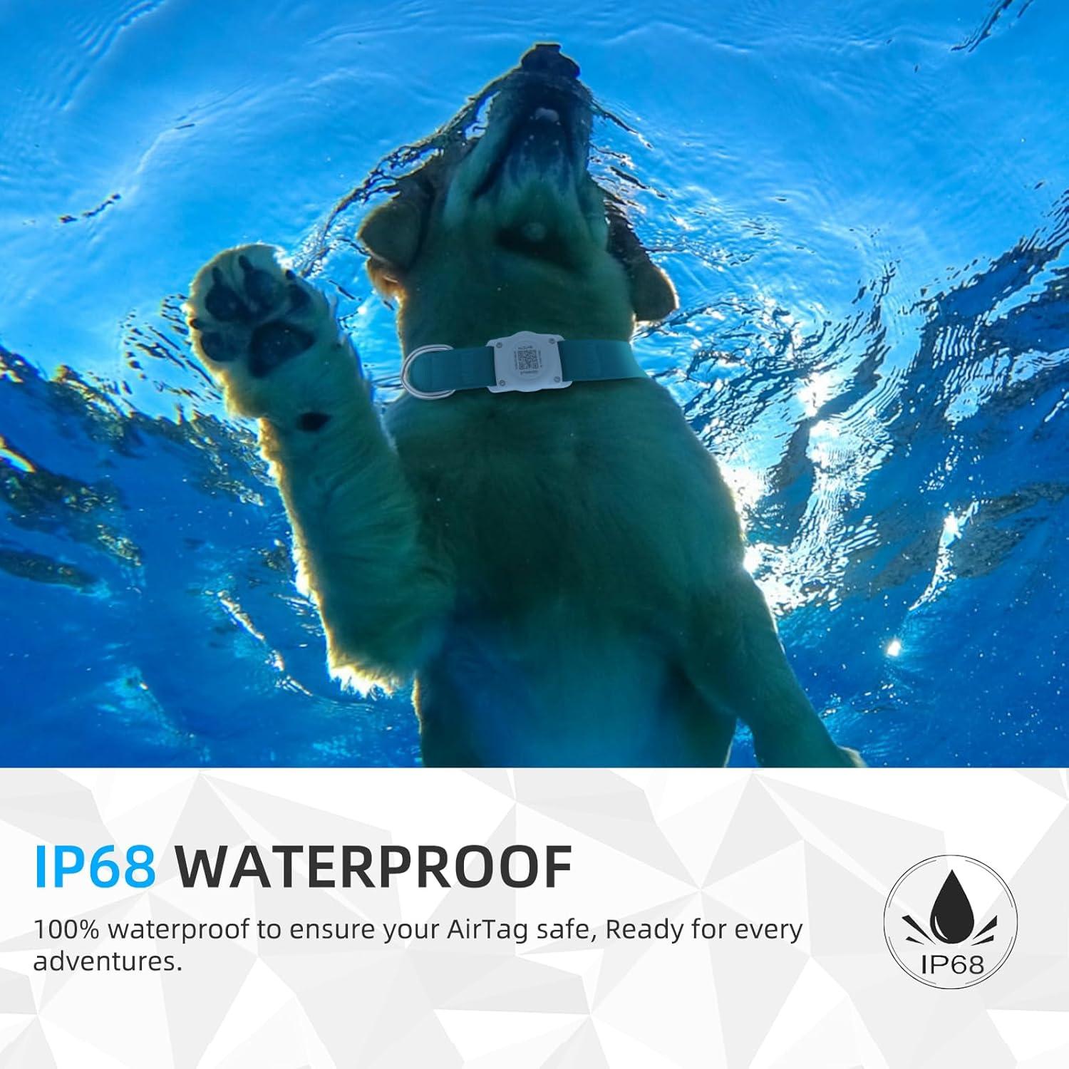 Collar para Perro Furrigo Airtag Impermeable Algodón S Aguamarina