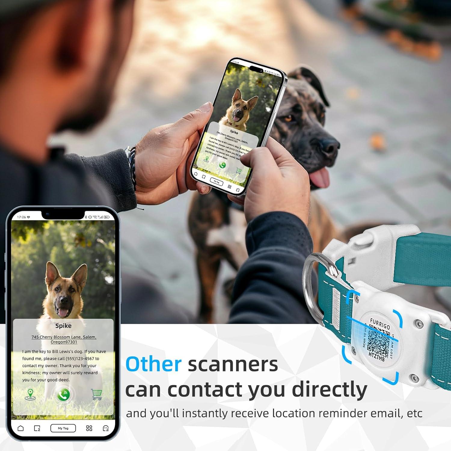 Collar para Perro Furrigo Airtag Impermeable Algodón S Aguamarina