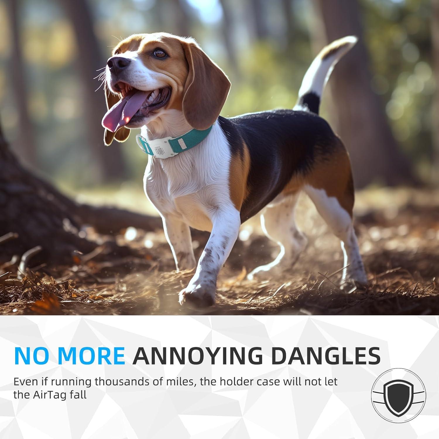 Collar para Perro Furrigo Airtag Impermeable Algodón S Aguamarina