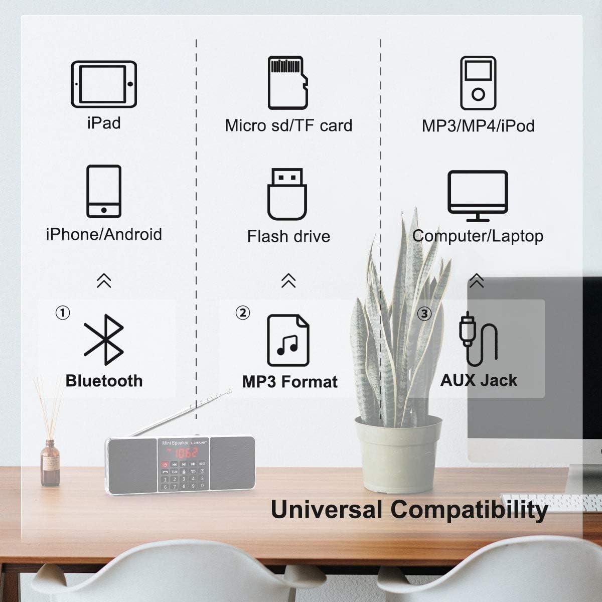 Radio portátil PRUNUS J-288 AM FM Bluetooth con altavoz