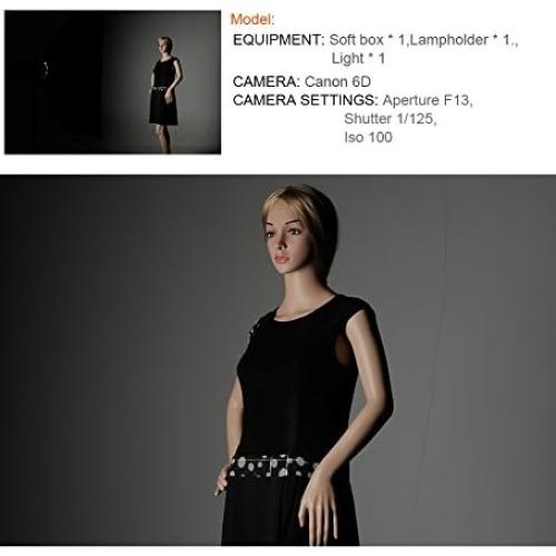 Godox 12"x 47" 30x120cm Honeycomb Grid Rectangular Softbox for Photo Strobe Studio Flash Softbox Bowens Mount