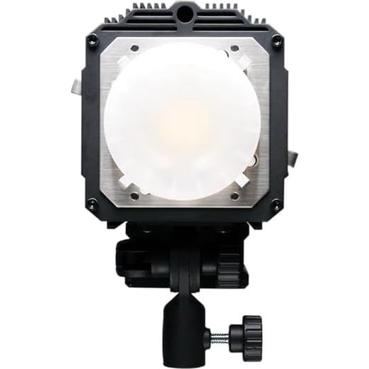 Unidad de Flash Paul C. Buff LINK800 con Receptor Integrado 800Ws