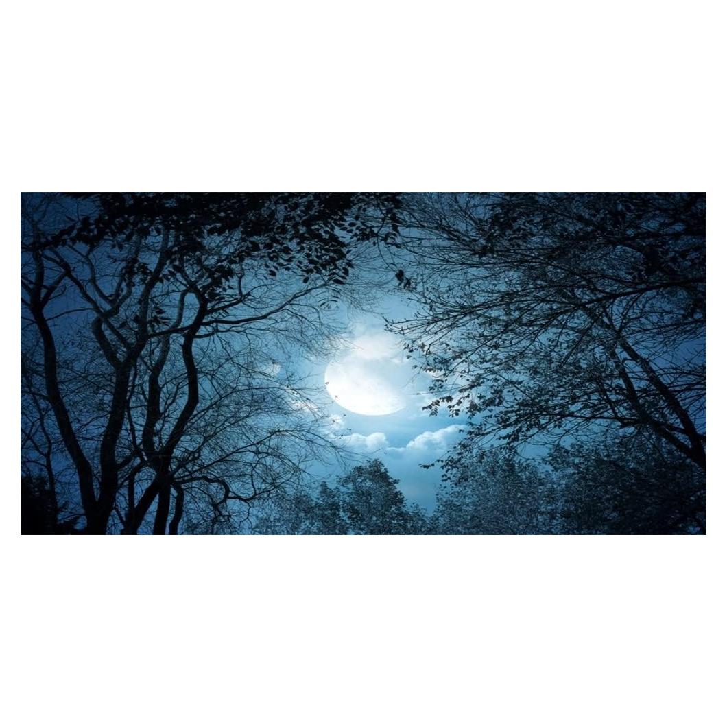 Fondo de Fotografía Vinilo Yeele 6x3m Bosque Nocturno