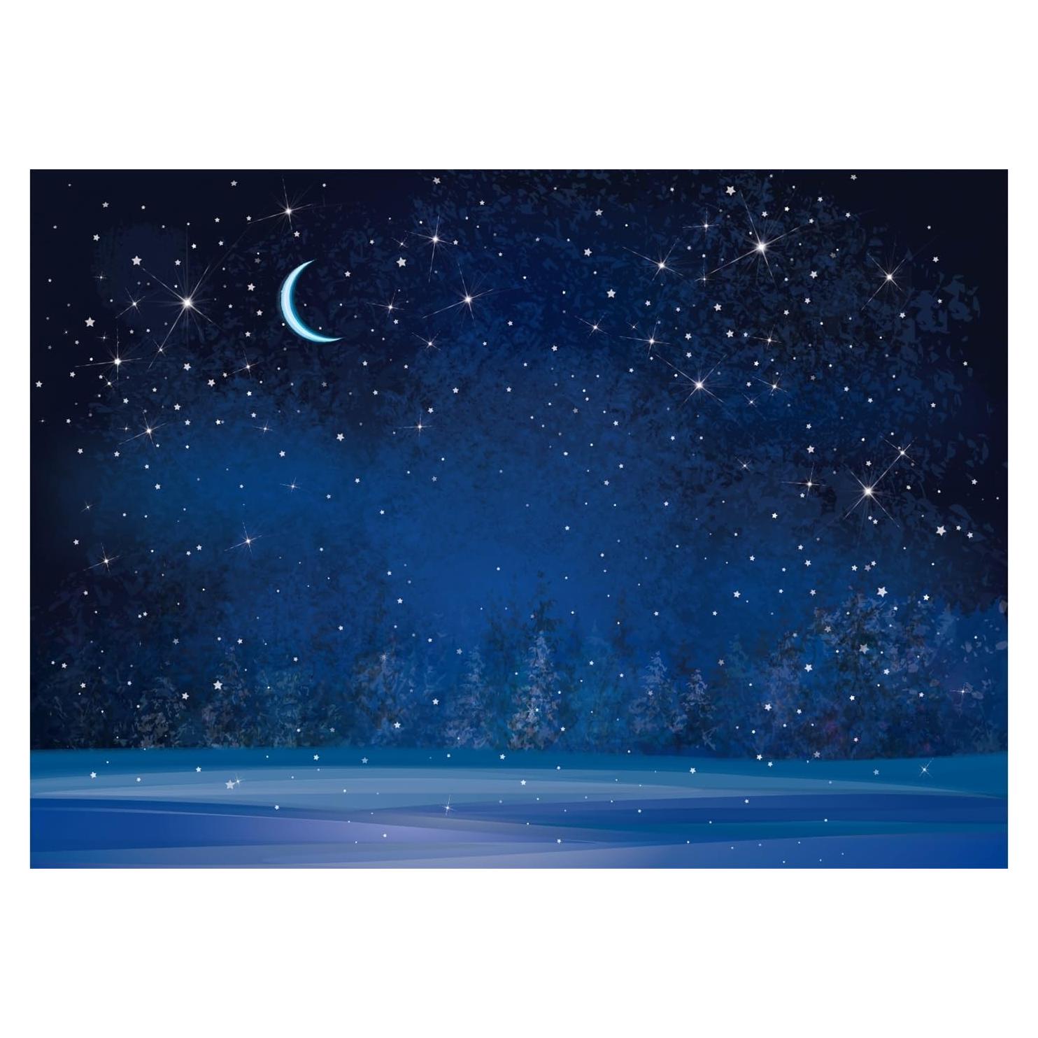 Fondo Fotográfico 3x2.5m Fmarui Noche Estrellada Navidad