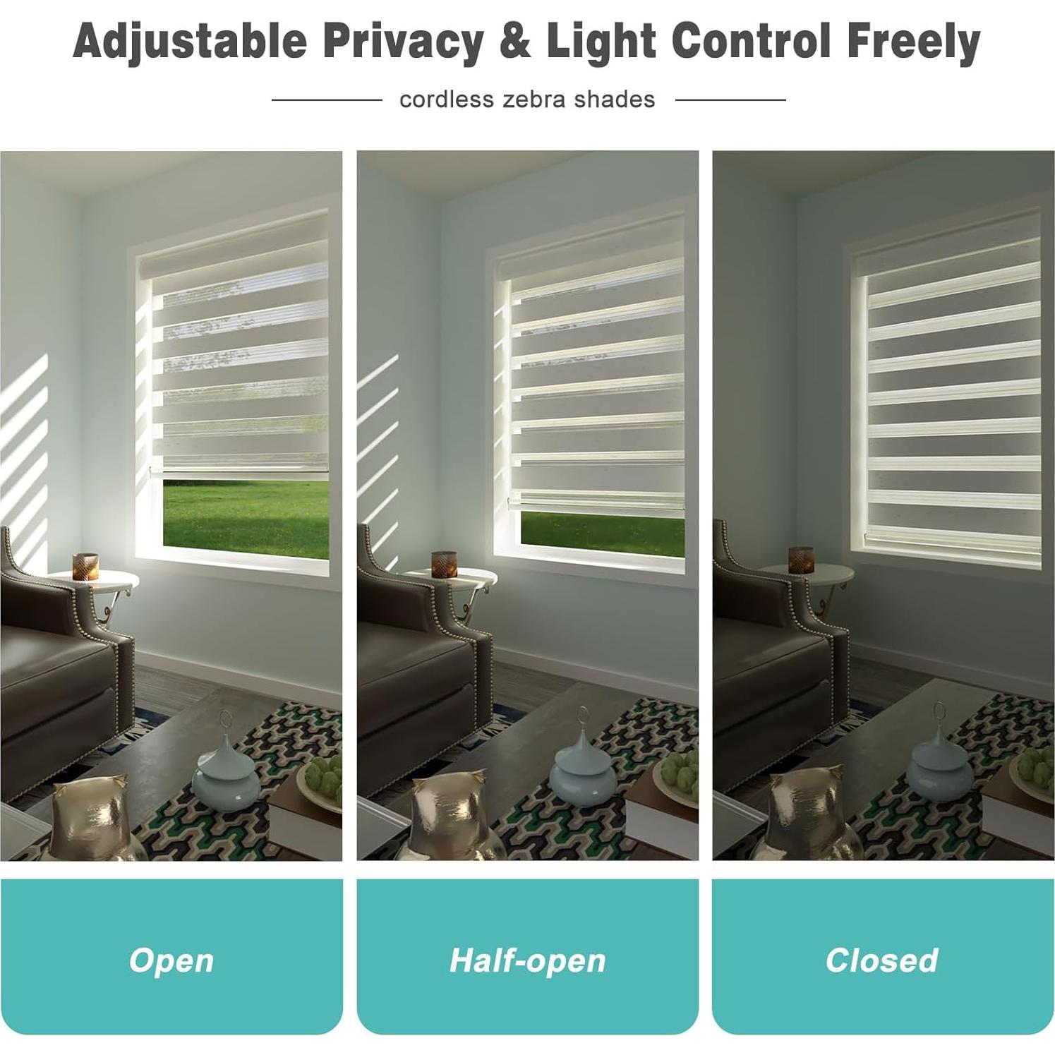 Changshade Cordless Zebra Shades for Windows Pull Down Roller Window Blinds Dual Layer Light Filtering Privacy for Day and Night,Free-Stop Door Shades for Home Easy to Install,46" W×72" H,Beige