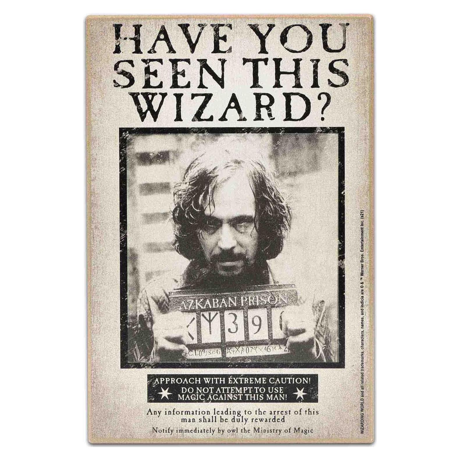 Cartel Vintage Harry Potter Sirius Black 19x29 cm Decoración