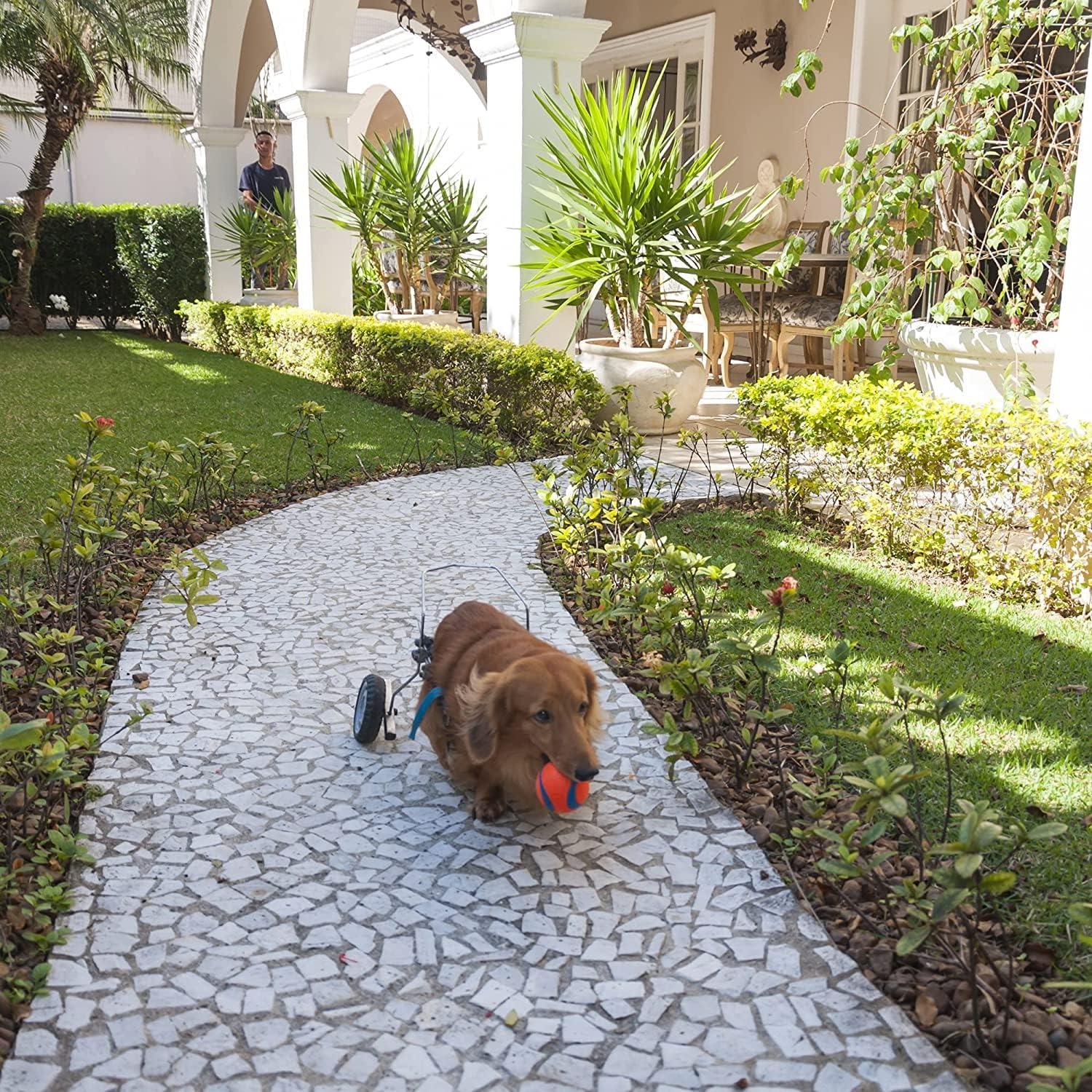 Chuckit! Ultra Ball Juguete para Perros 4 Pelotas 11.4 cm