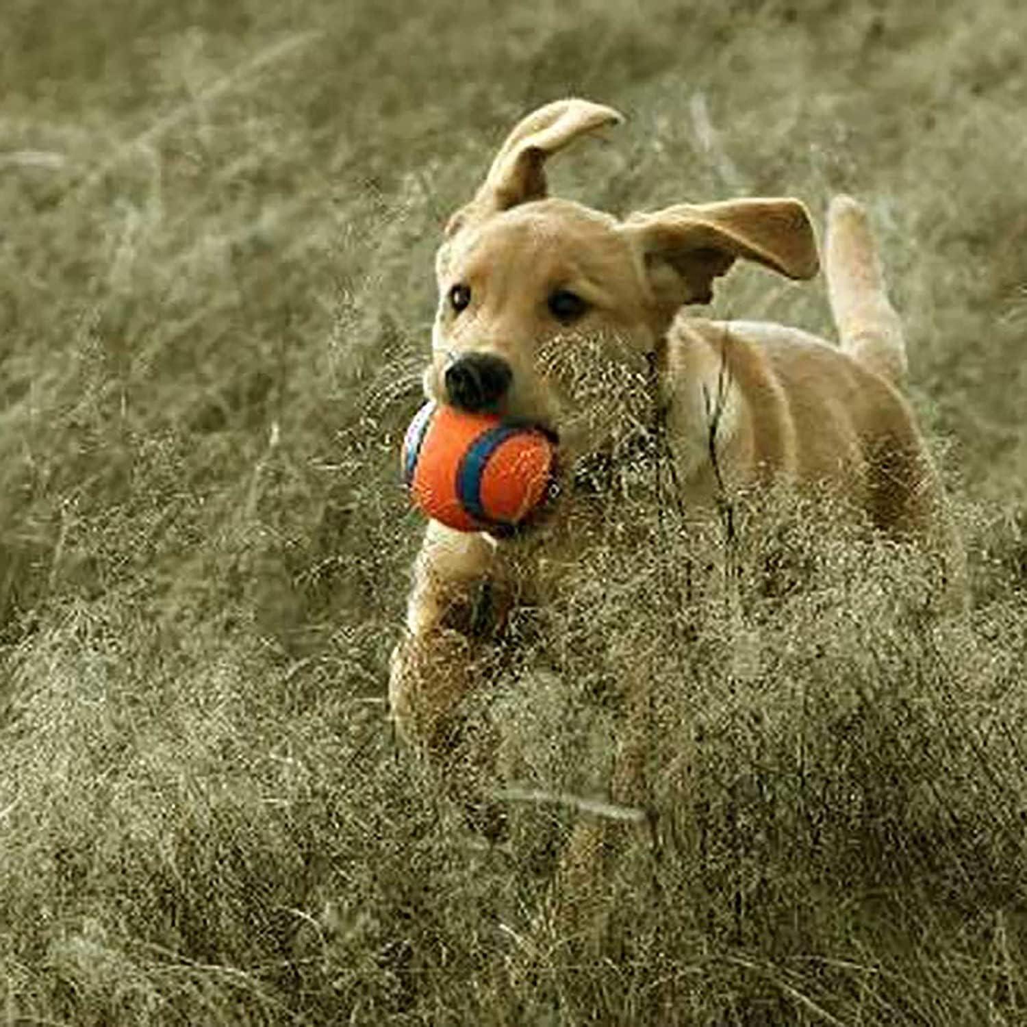 Chuckit! Ultra Ball Juguete para Perros 4 Pelotas 11.4 cm