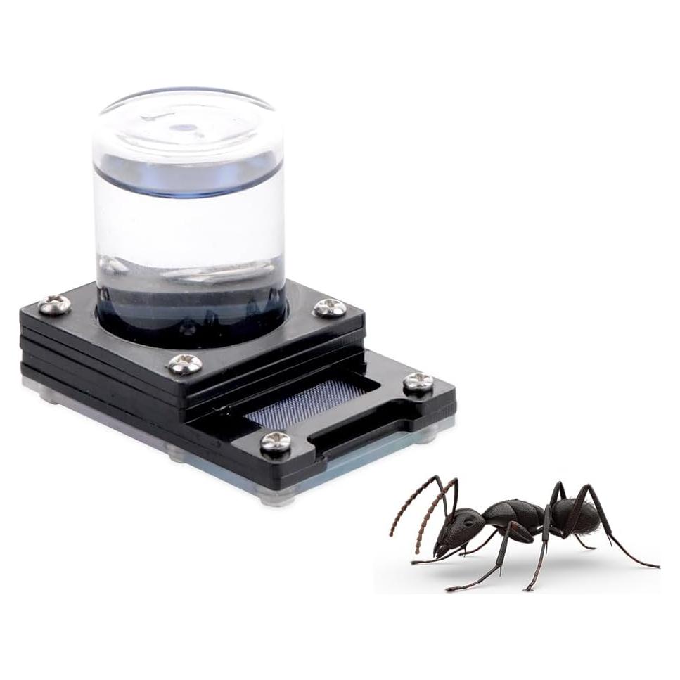 Alimentador de Agua para Hormigas DQITJ 20ml Plástico Anti-Ahogamiento