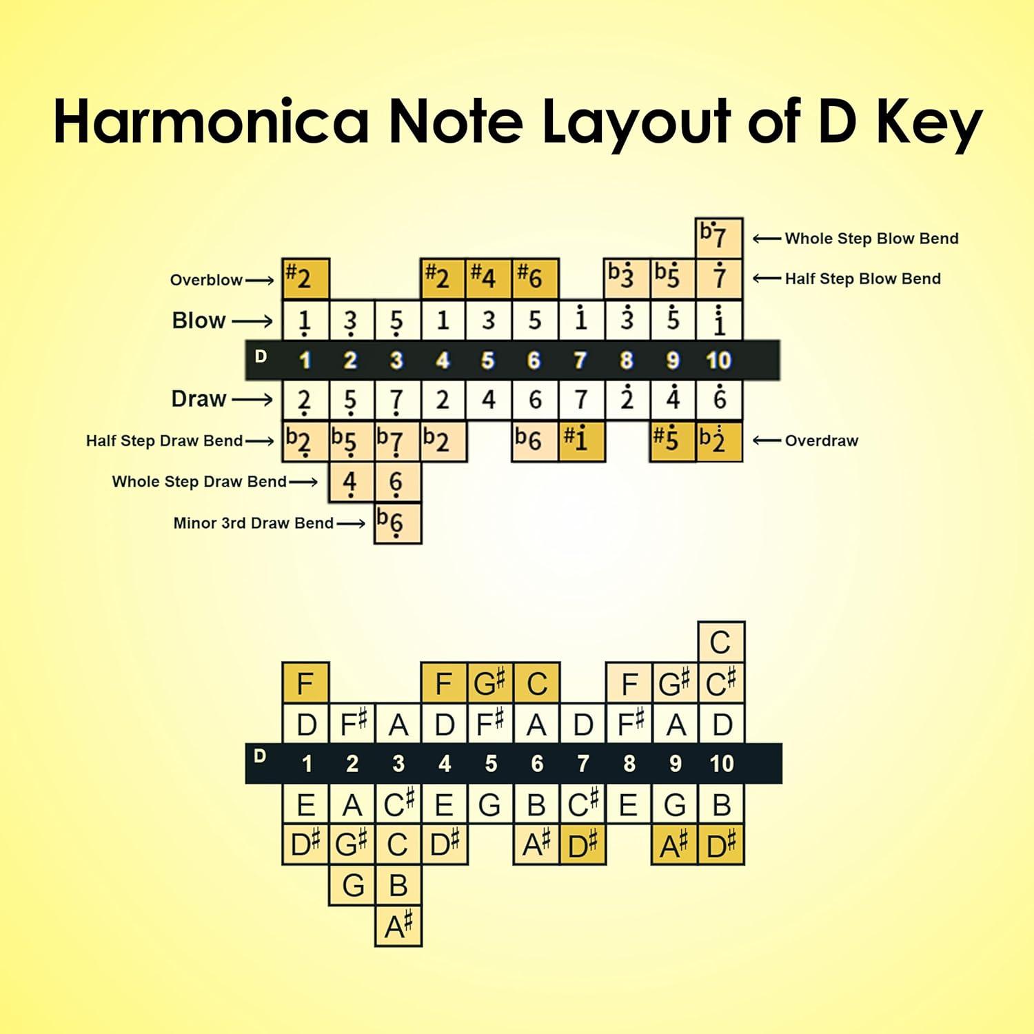 Harmónica Diatónica D - 10 Agujeros, Bronce Fosforado, ABS