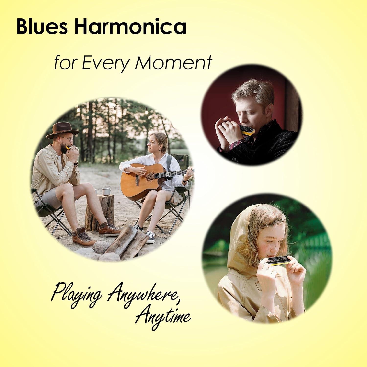 Harmónica Diatónica D - 10 Agujeros, Bronce Fosforado, ABS