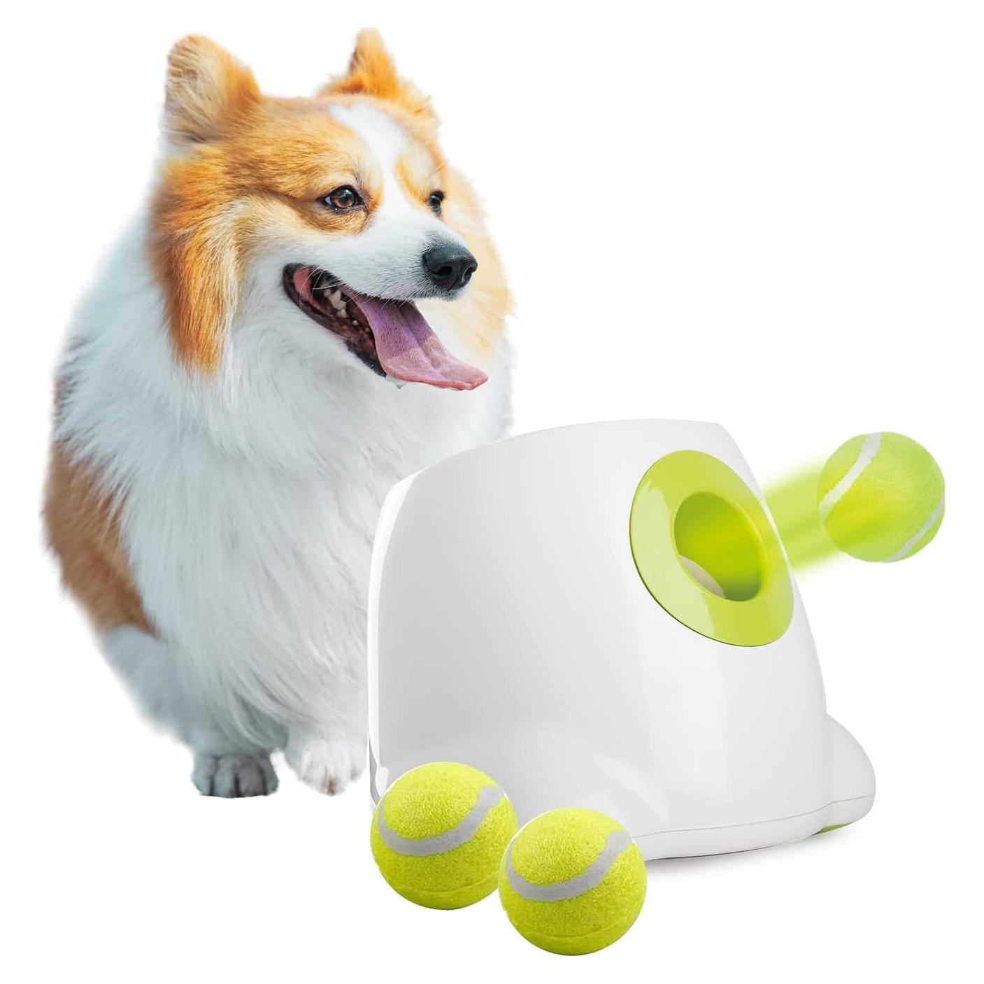 Lanzador Automático de Pelotas All For Paws - Perros