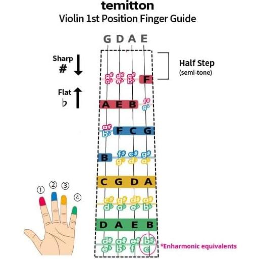 Guía de Dedos para Violín TMTFG 4/4 Estática Tipo B