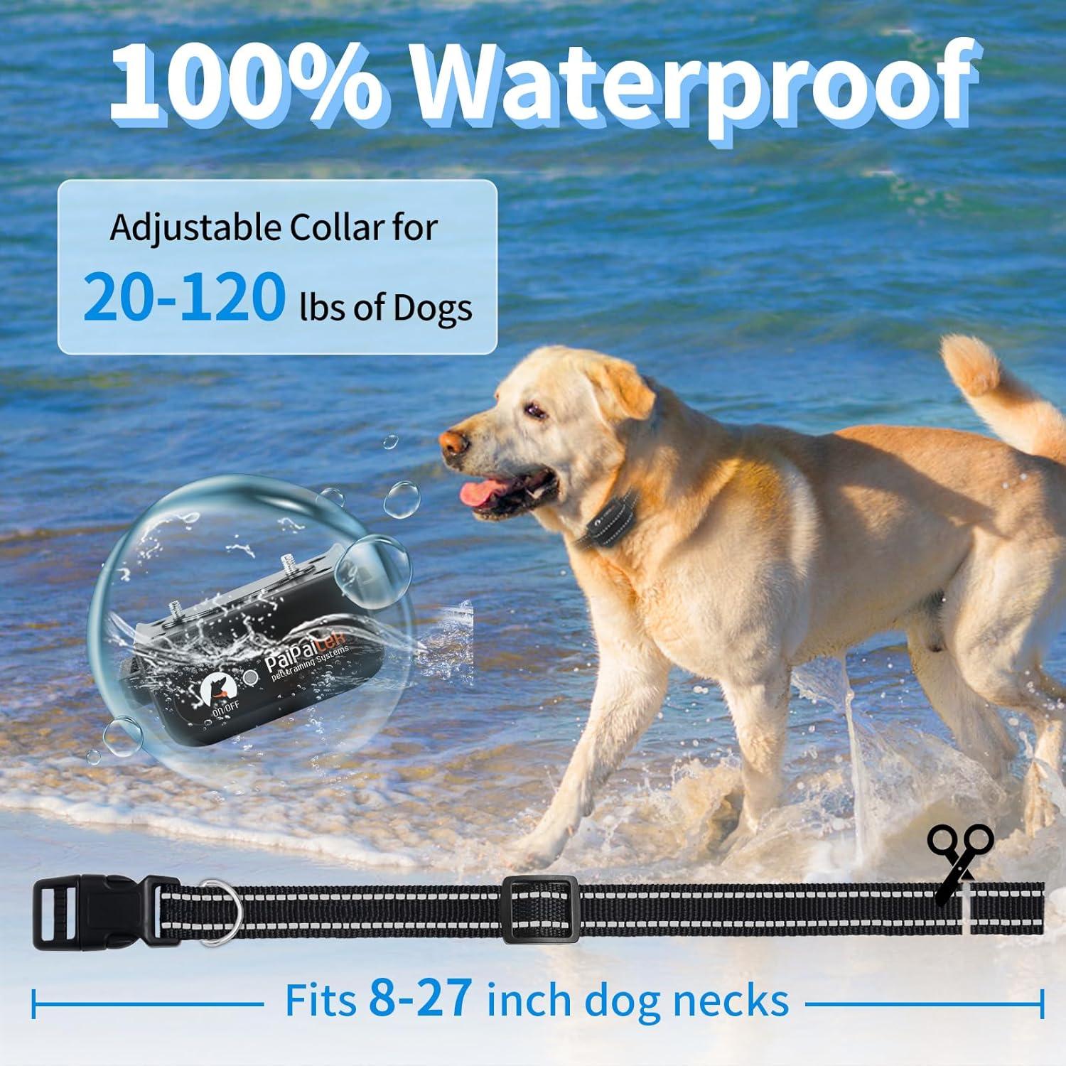 Collar Antibark y Entrenamiento PaiPaitek 2 en 1 - 1000m