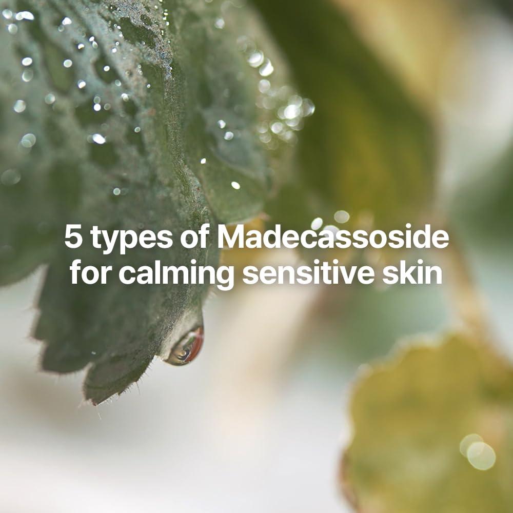 Set Regalo Cuidado Facial Pyunkang Yul Línea Calmante