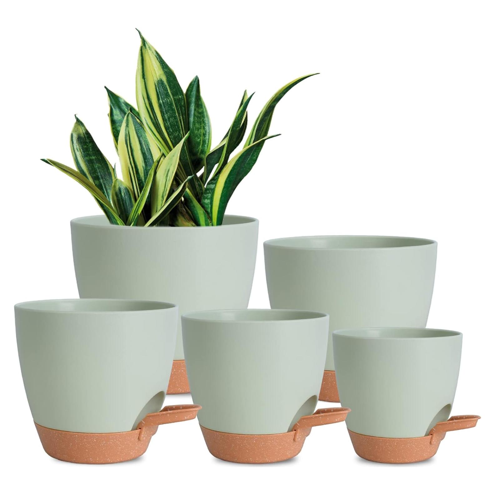 Macetas Autorriego Vanslogreen 5 Piezas Verde 12-18 cm