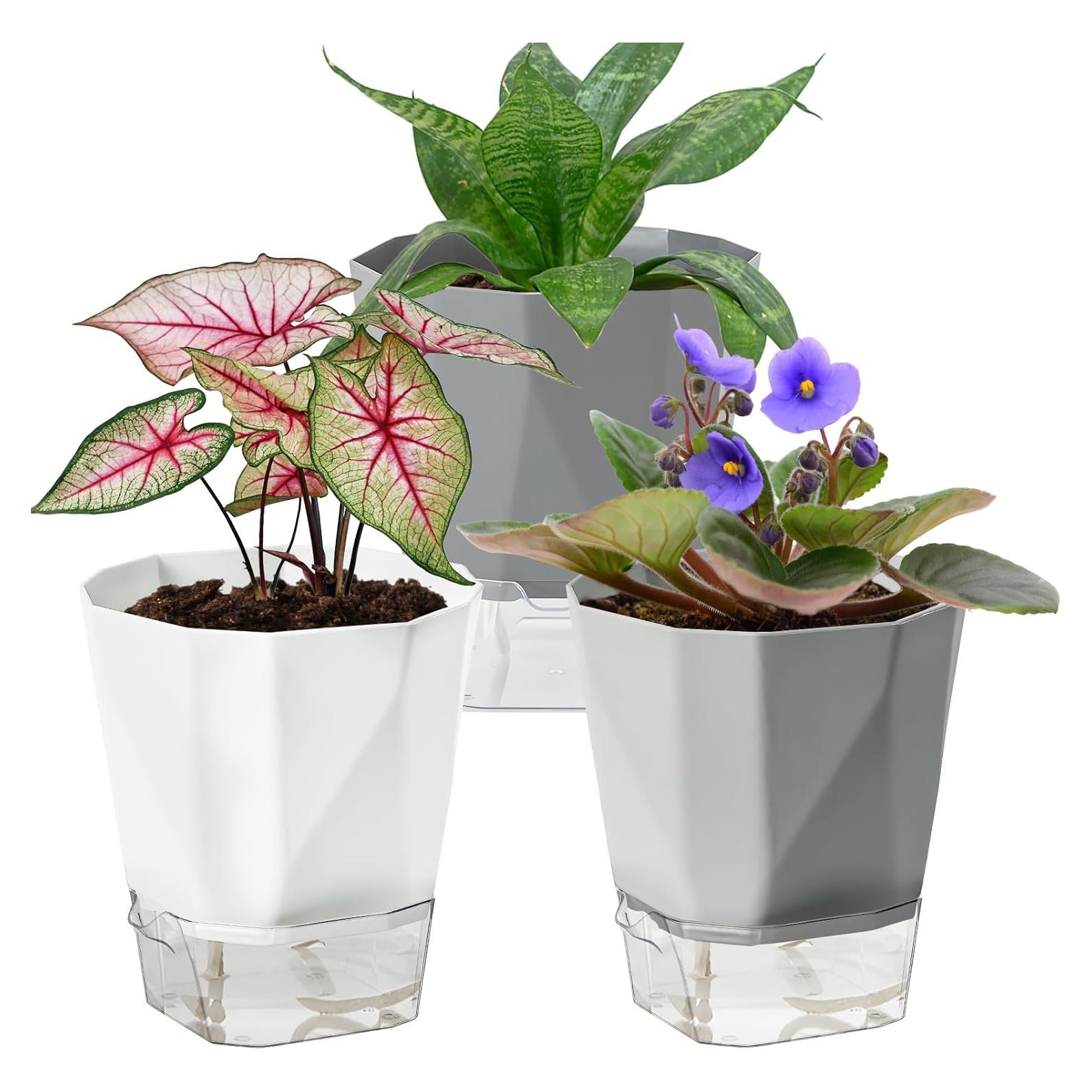 Paquete de 3 macetas autorriego Samhe 12.45 cm jardín