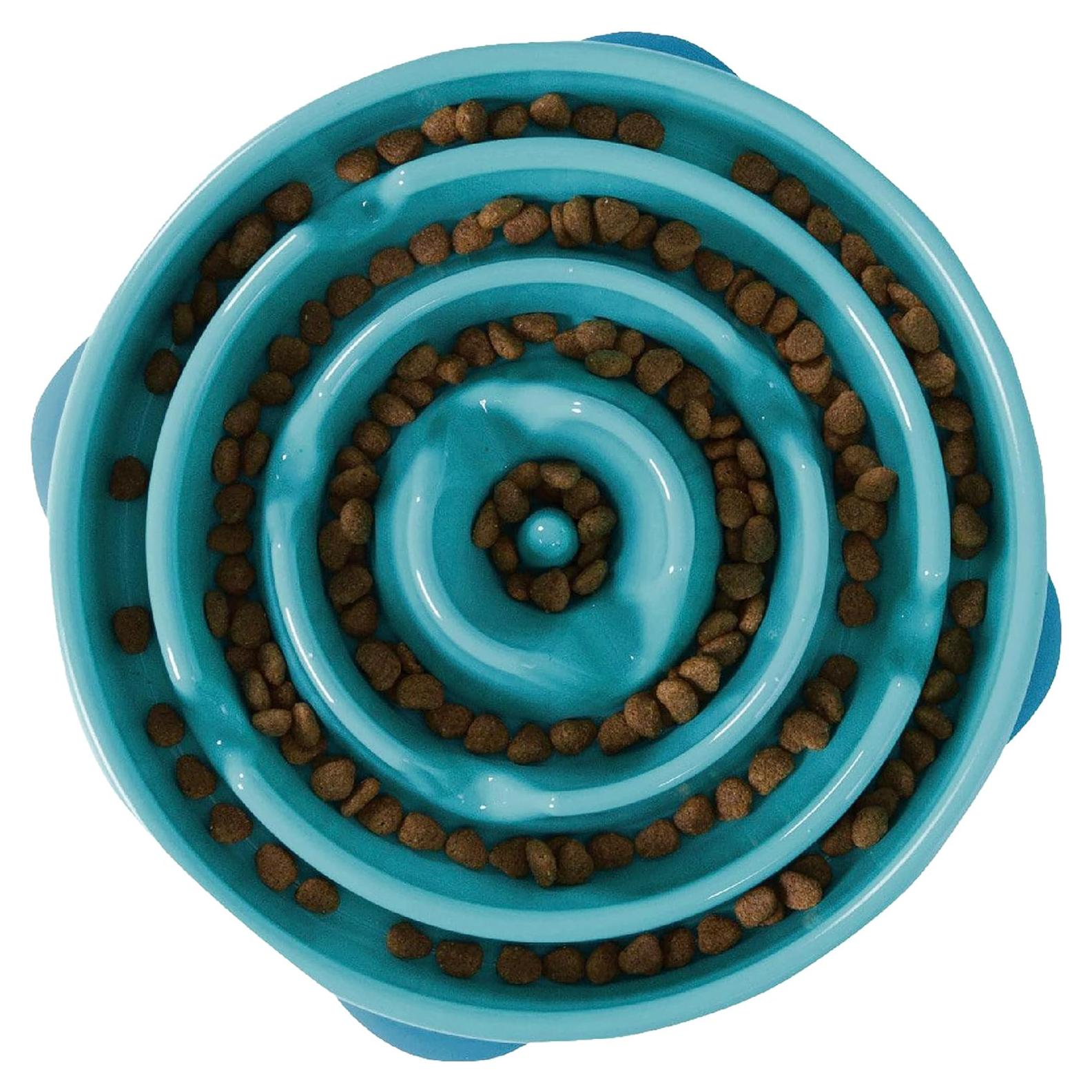 Cuenco para Perros Outward Hound Slo Bowl Grande Turquesa