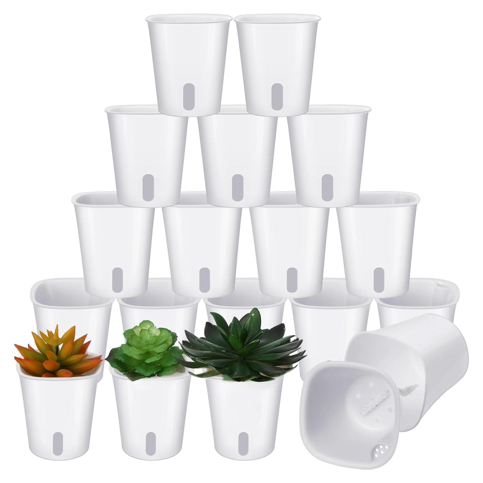 20 Macetas Autorriego Ziliny 7.5x8.5cm para Interior