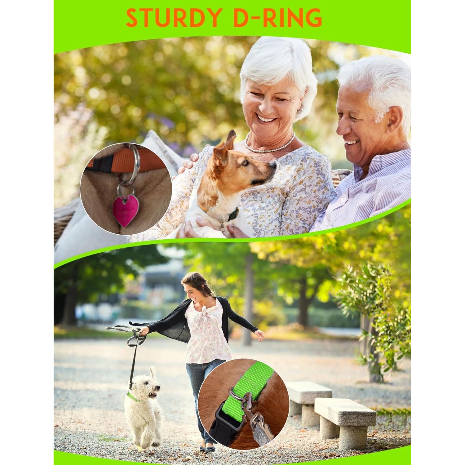 Collar Ajustable PaiPaitek para Perros - Nylon Duradero 1.9 cm