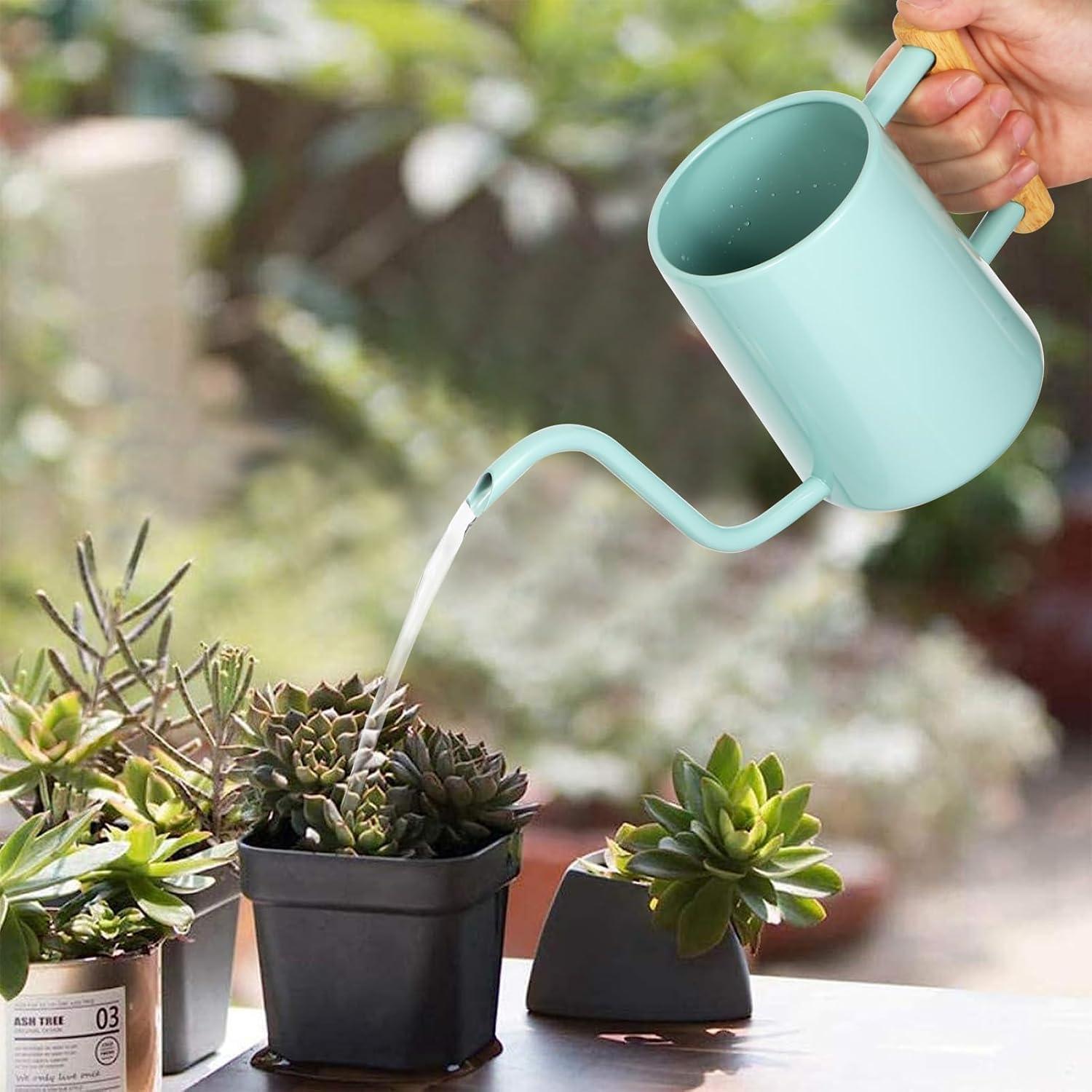 Regadera LTSUMI 1000 ml Acero Inoxidable Verde para Plantas