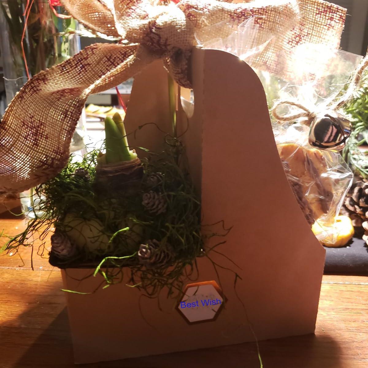 Portavasos de Cartón Kraft para 2 Tazas - 20 Unidades