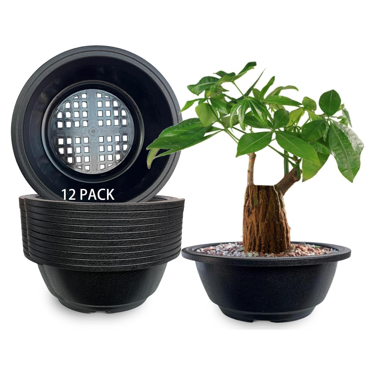 Macetas Redondas MUZHI 12 Piezas para Bonsai 19.8 cm