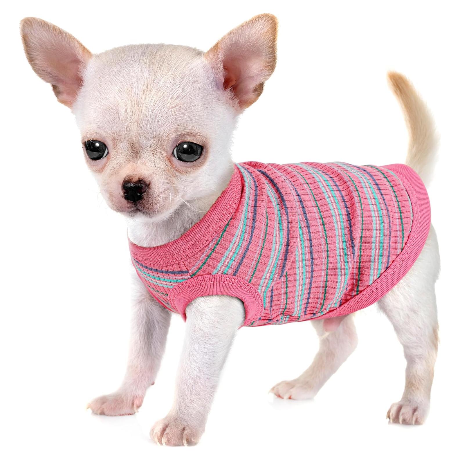 Camiseta Chaleco Algodón Paiaite Rosa Pequeño para Perros