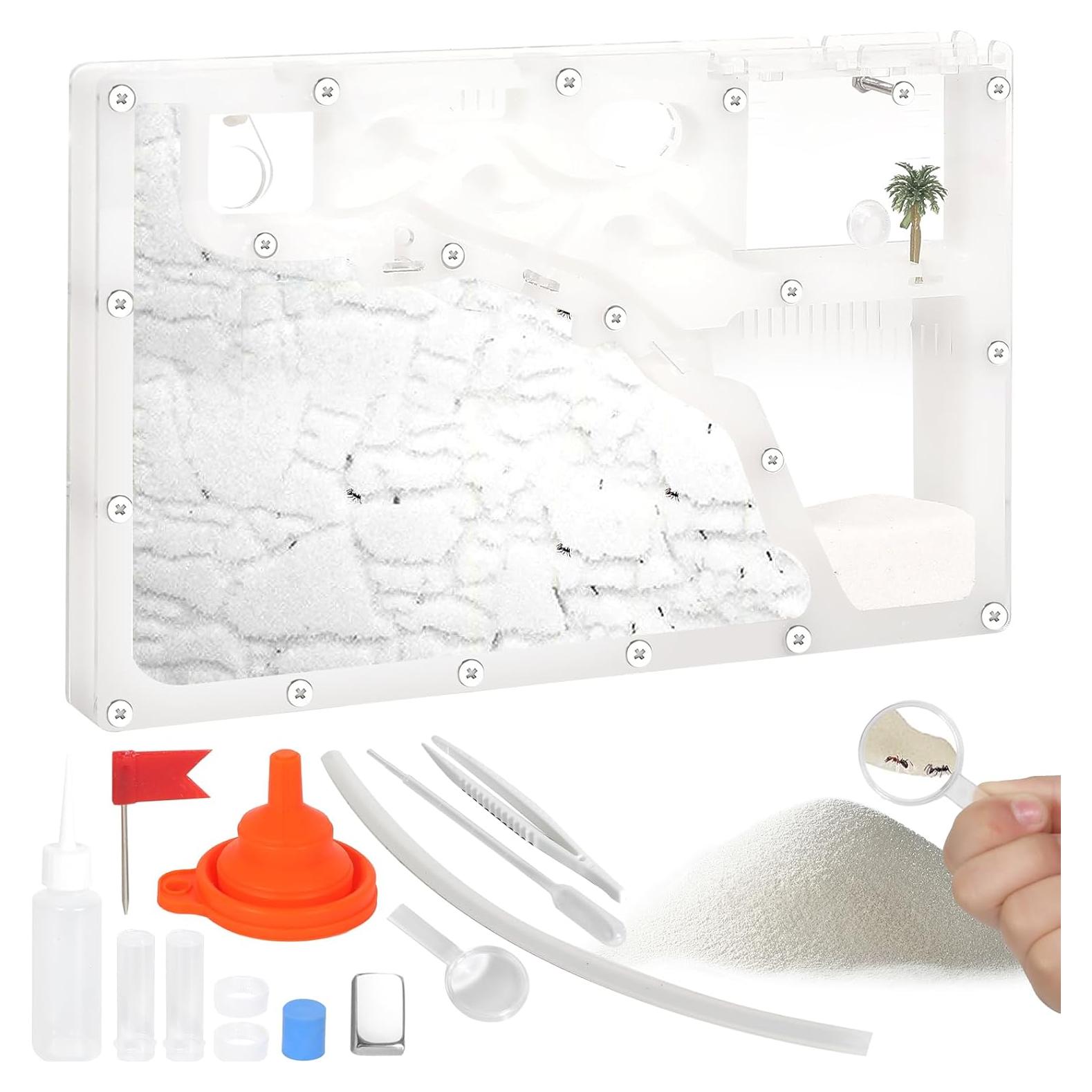 Granja de Hormigas Blevla Rectángulo Kit Educativo 27x14cm