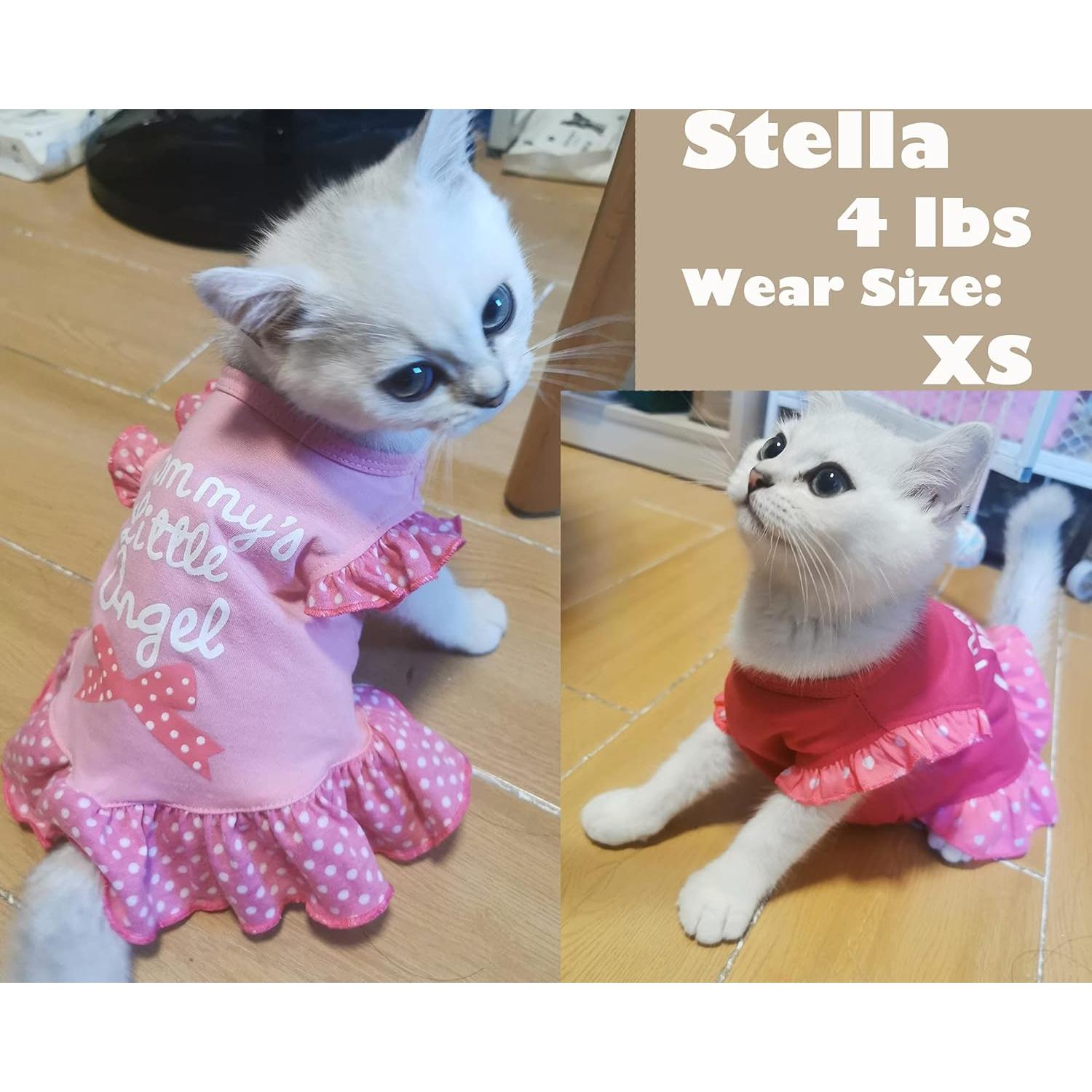 Vestido para Perro XPUDAC 4 Piezas Ángel Rosa Pequeño