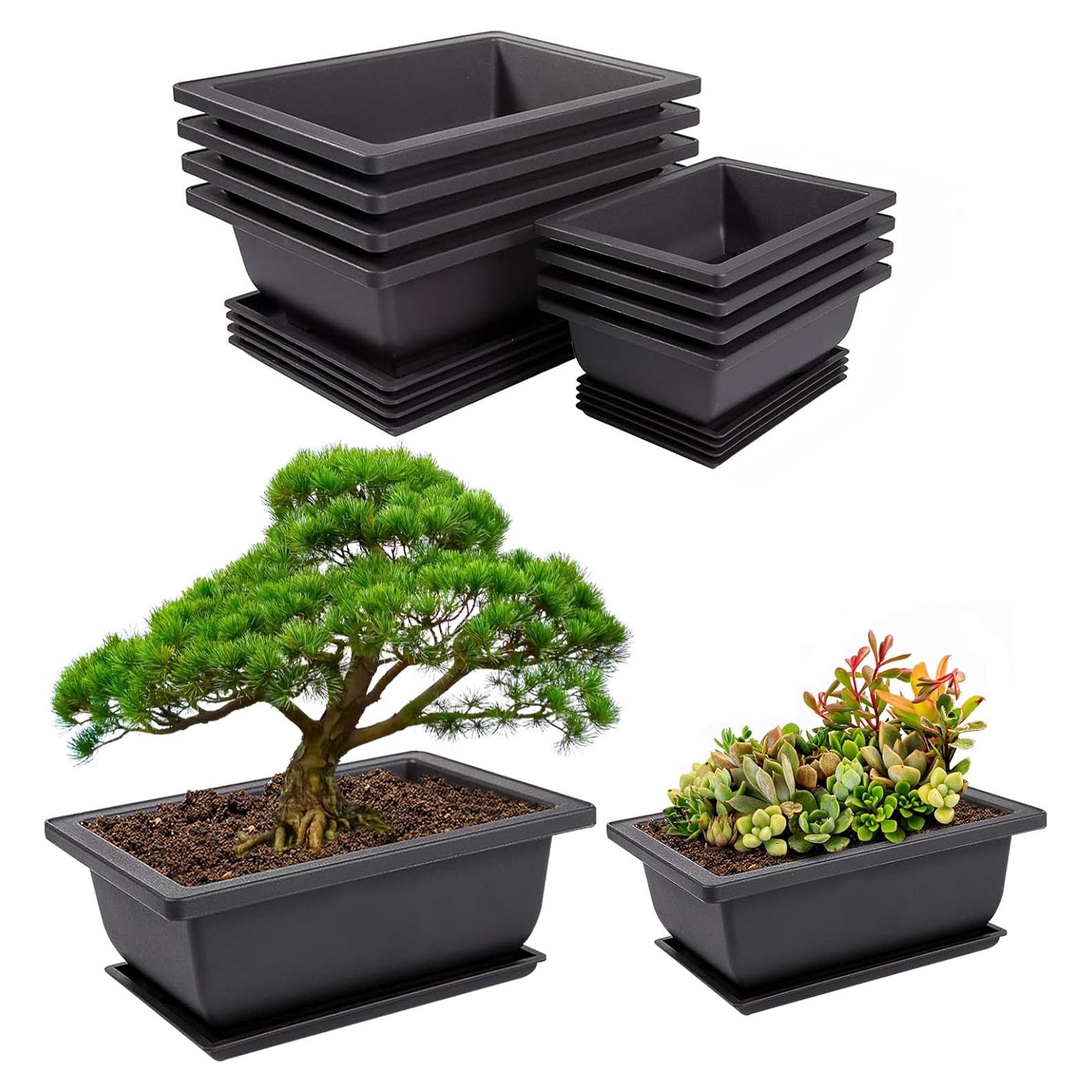 8 Macetas de Entrenamiento Bonsai PAMASE con Bandeja Drenaje