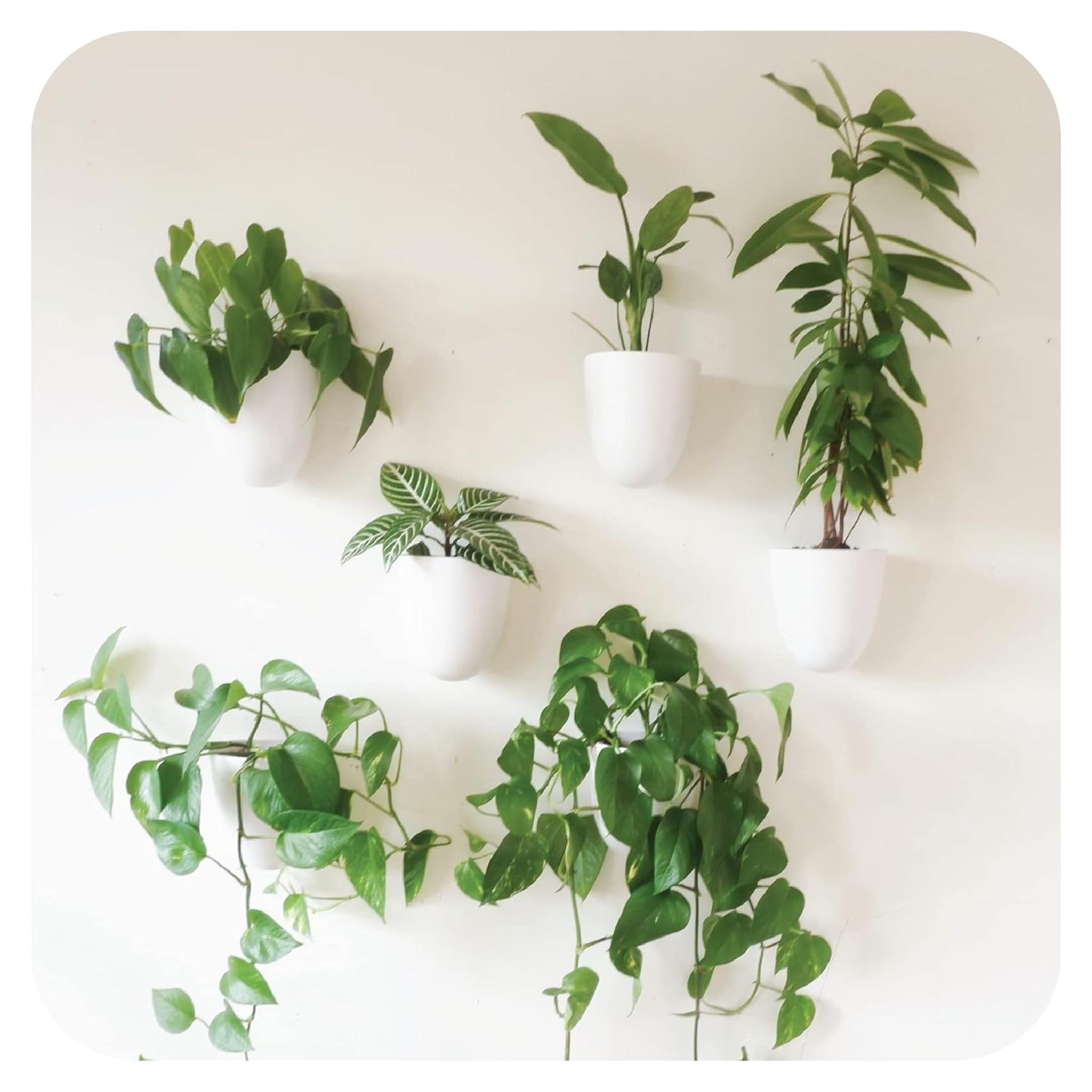 Jardineras de Pared Autorriego Make Good - Juego de 6 Blancas